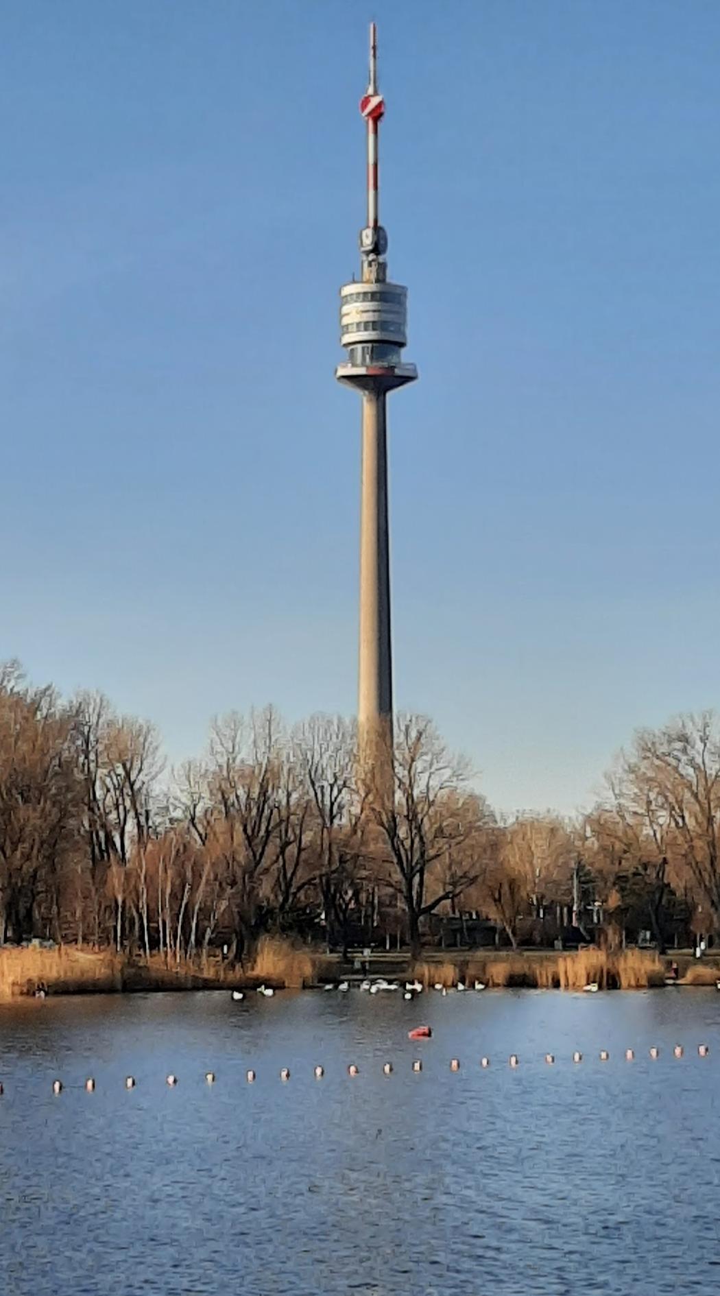 Alte Donau (obere alte Donau)