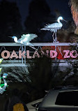 Oakland Zoo