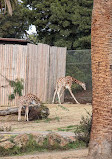 Oakland Zoo