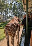 Zoologico Guadalajara