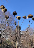 Jardín Botánico Restaurante S.L.