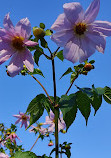 Jardín Botánico Restaurante S.L.