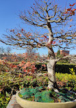 Jardín Botánico Restaurante S.L.