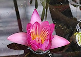 Jardín Botánico Restaurante S.L.