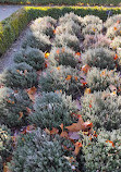 Jardín Botánico Restaurante S.L.