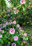 Jardín Botánico Restaurante S.L.