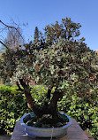 Jardín Botánico Restaurante S.L.