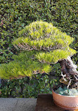 Jardín Botánico Restaurante S.L.