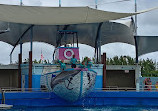 Miami Seaquarium