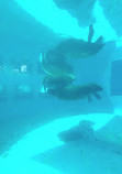 Miami Seaquarium