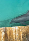 Miami Seaquarium