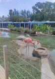 Miami Seaquarium