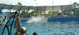 Miami Seaquarium