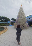 Miami Seaquarium