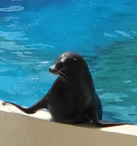 Miami Seaquarium