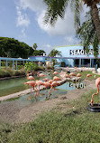 Miami Seaquarium