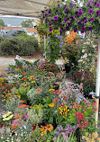 Sunnyvale Farmers Market