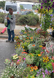 Sunnyvale Farmers Market