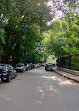 Cubbon Park