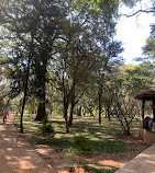 Cubbon Park Inside Parking