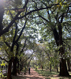 Cubbon Park Inside Parking