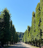 Schönbrunn Palace