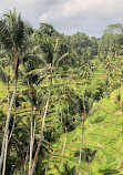 Sai Mai Warung