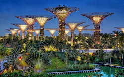 Gardens by the Bay