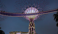 Gardens by the Bay