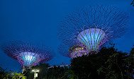 Gardens by the Bay