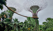 Gardens by the Bay