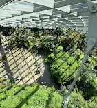 Gardens by the Bay