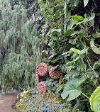 Gardens by the Bay