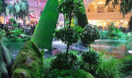 Bellagio Hotel & Casino