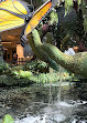 Bellagio Hotel & Casino