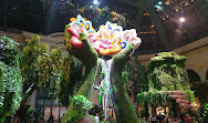 Bellagio Hotel & Casino