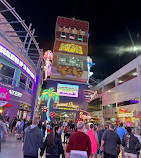 Fremont Street Experience