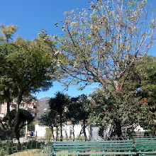 Plaza Pintacha