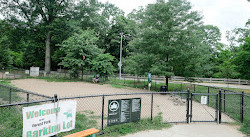 Forest Park Barking Lot