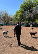 Murray Playground Dog Run