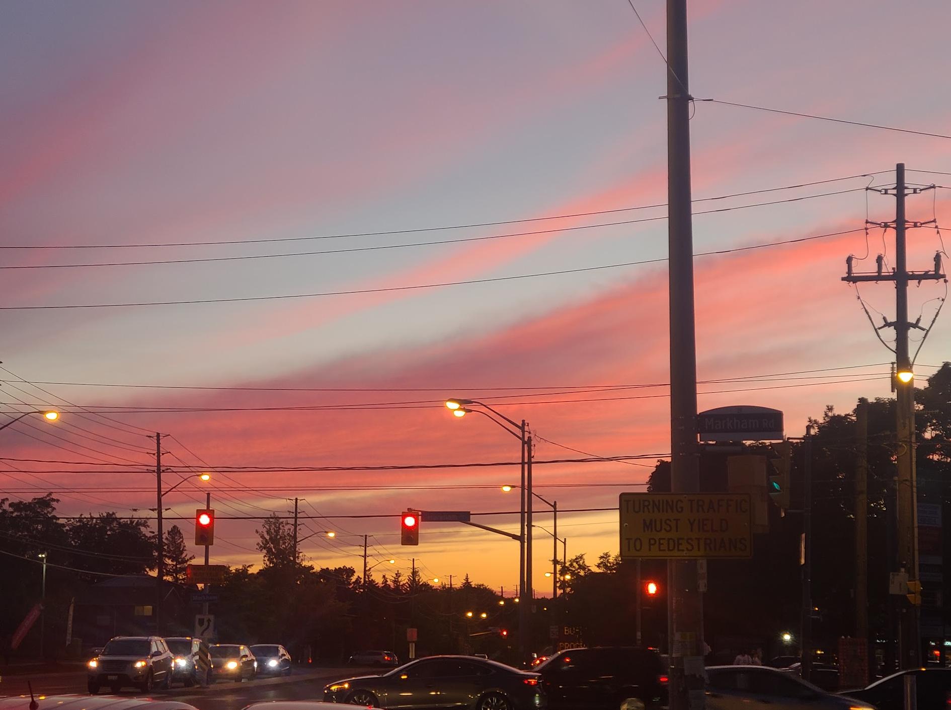 Ellesmere Rd at Markham Rd