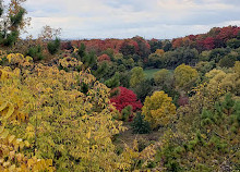 Sunset point Humber arboretum