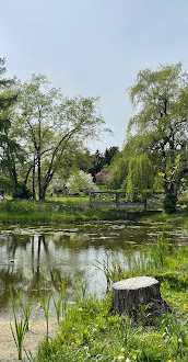 Garden of the Rising Moon