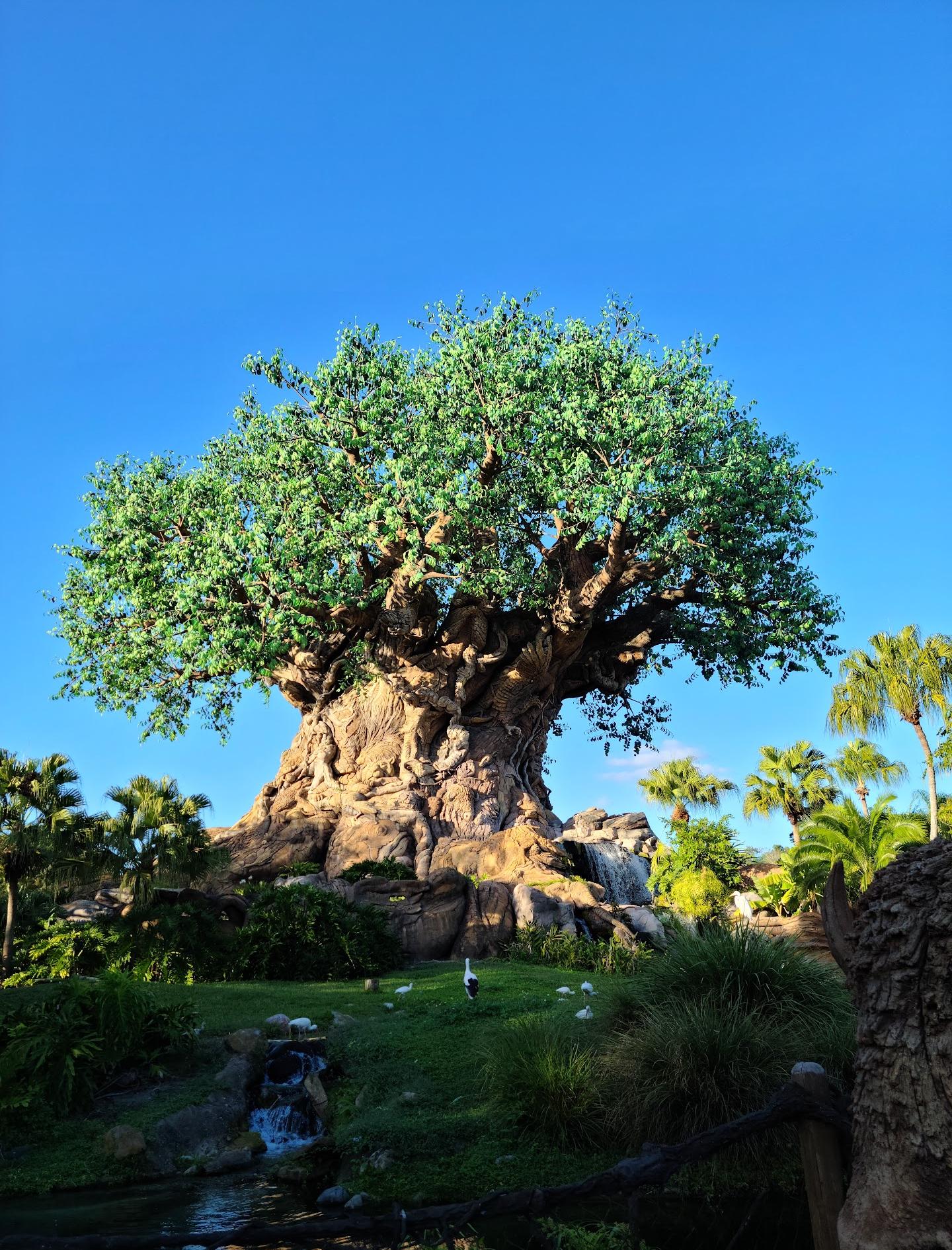 Disney's Animal Kingdom Theme Park