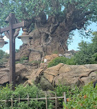 Disney's Animal Kingdom Theme Park