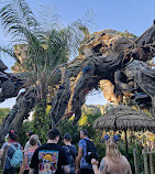 Disney's Animal Kingdom Theme Park