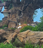 Disney's Animal Kingdom Theme Park