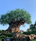 Disney's Animal Kingdom Theme Park