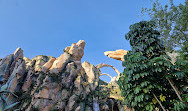 Disney's Animal Kingdom Theme Park