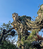 Disney's Animal Kingdom Theme Park